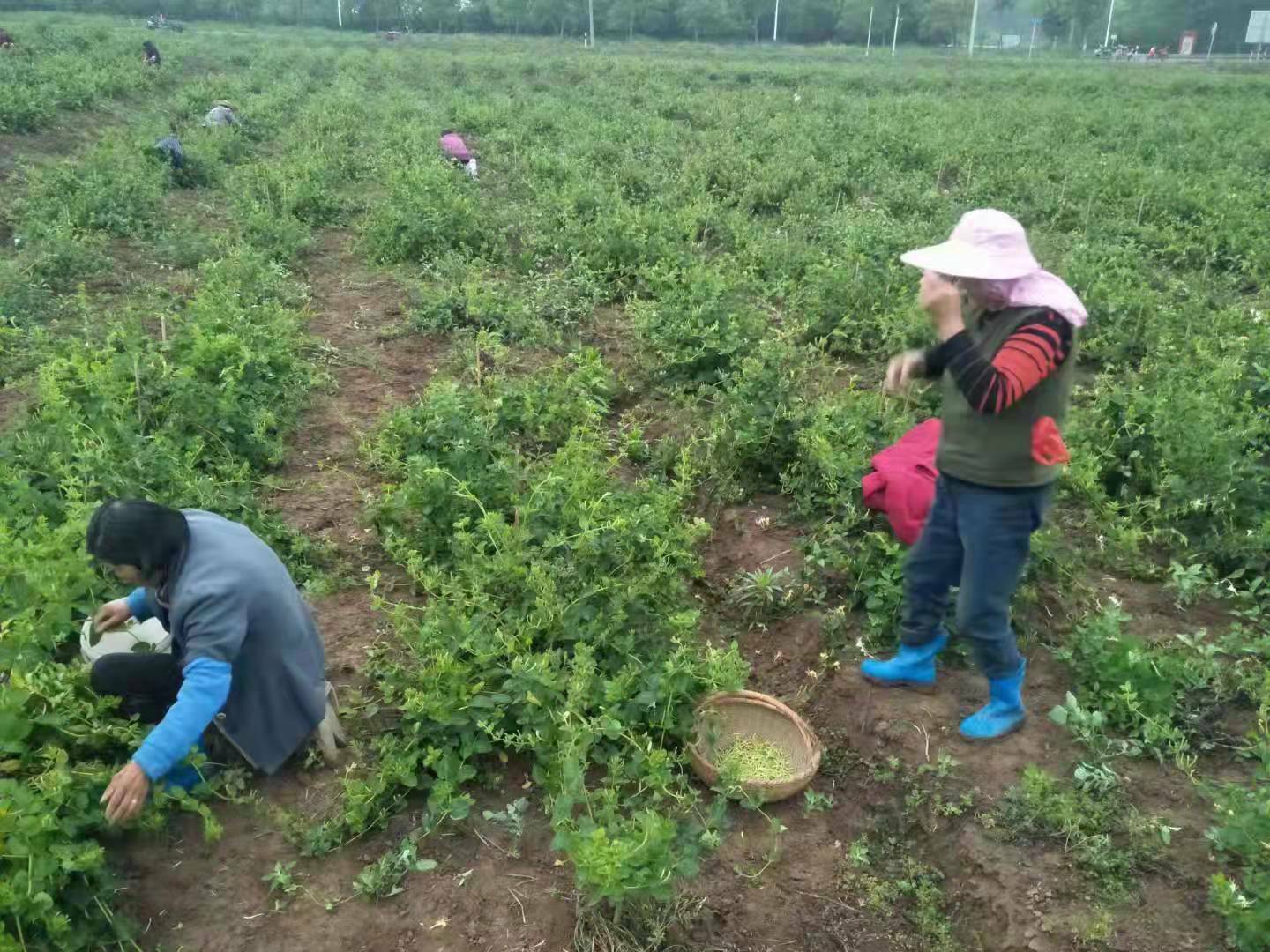 0aecaf889689a20e9bb5db62175b107.jpg 0aecaf889689a20e9bb5db62175b107.jpg